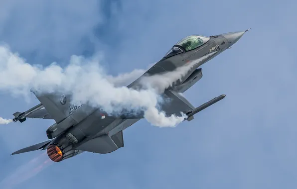 Picture fighter, F-16, Fighting Falcon, multipurpose
