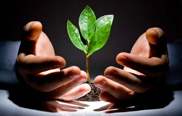 Green, light, leaves, floor, hands, hope