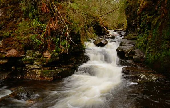 Picture Stream, Waterfall, Forest, Stones, Norway, Waterfall, Norway, Forest