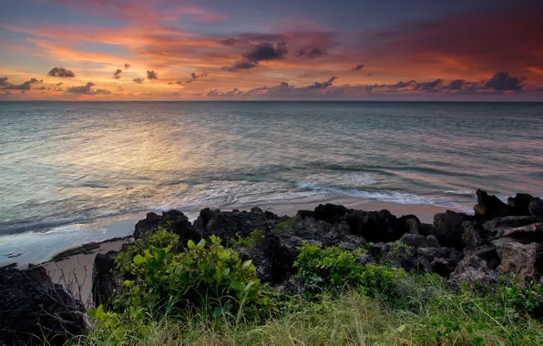 Sea, landscape, sunset