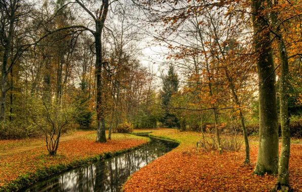 Picture autumn, landscape, nature, Park
