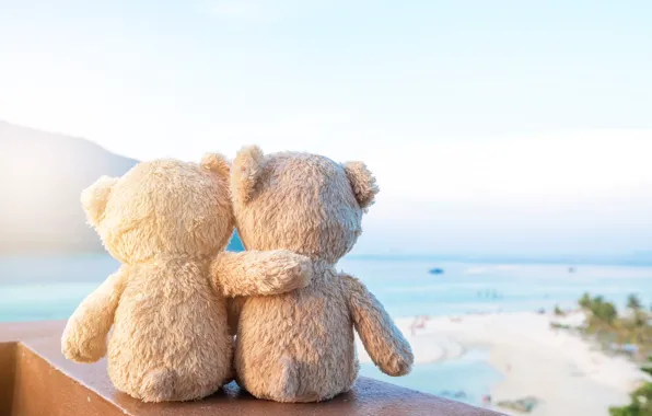 Picture sand, sea, beach, love, toy, bear, bear, pair