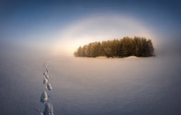 Winter, field, snow, traces, fog