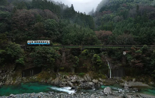 River, trees, bridge, Train