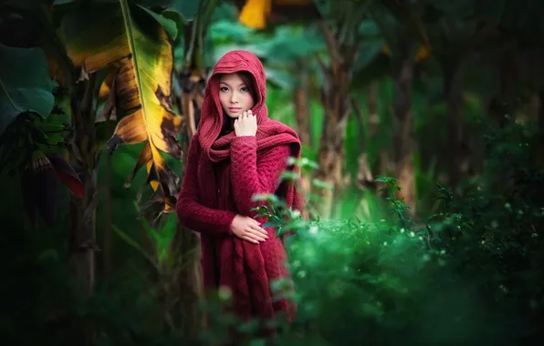 Girl, background, Asian