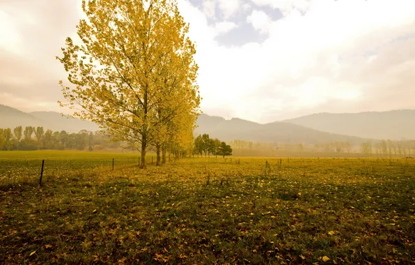 Picture field, autumn, landscape, mountains, nature