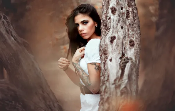 Look, girl, nature, pose, Park, tree, portrait, hands