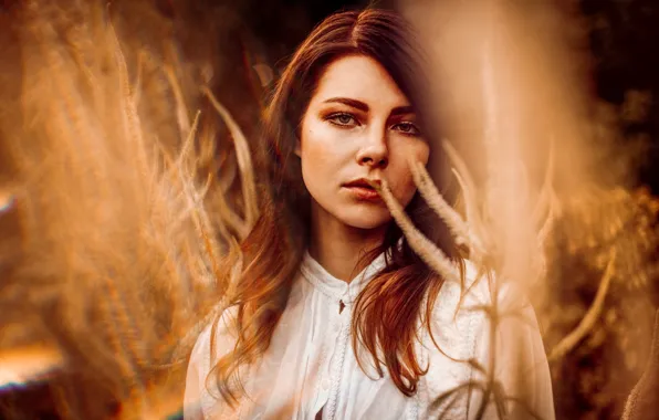 Picture summer, look, girl, background