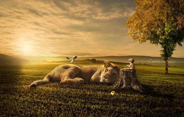 Picture children, collage, bird, friendship, lioness