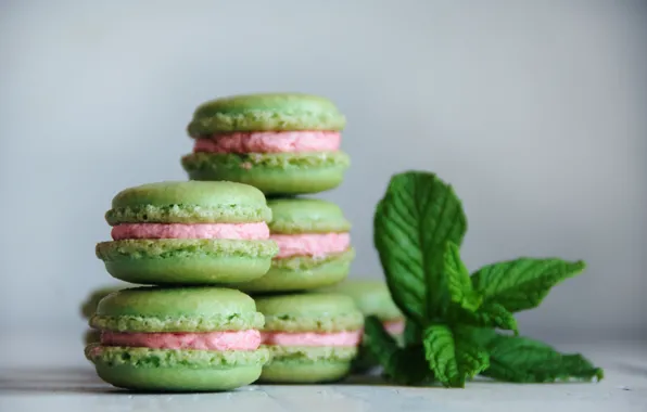 Food, cookies, mint, dessert, cakes, macaron