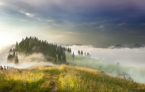 Picture landscape, mountains, fog