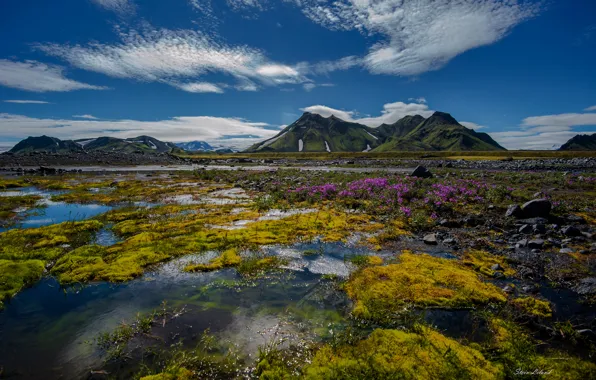 The sky, water, clouds, flowers, mountains