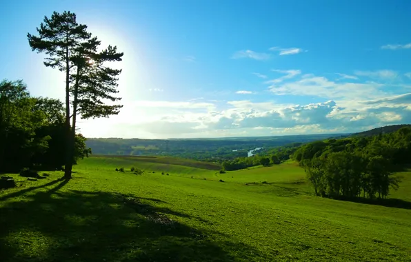 Field, summer, the sky, Nature, summer, sky, field, nature
