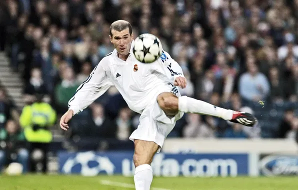 Picture football, Real Madrid, Real Madrid, Zinedine Zidane, Zinedine Zidane, League champions, legendary goal