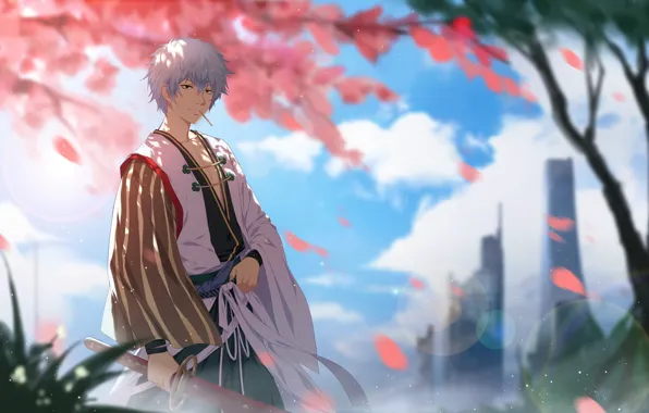 Anime, art, guy, Gintama, You Want Гинтоки