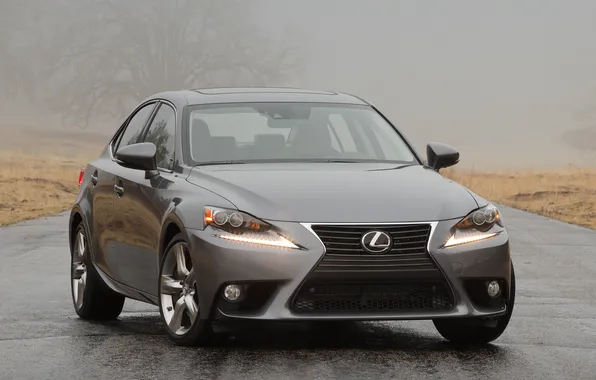 Machine, fog, lights, Lexus, Lexus, the front, IS 350