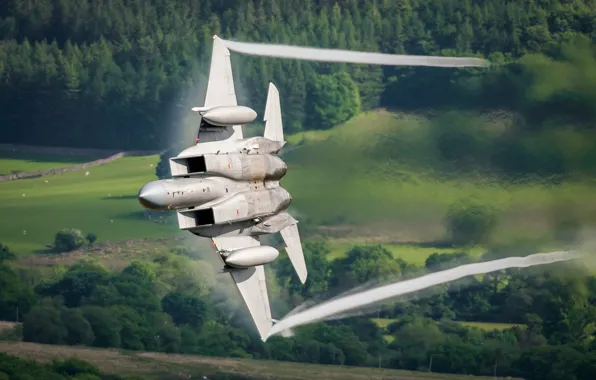 Picture weapons, the plane, F15C