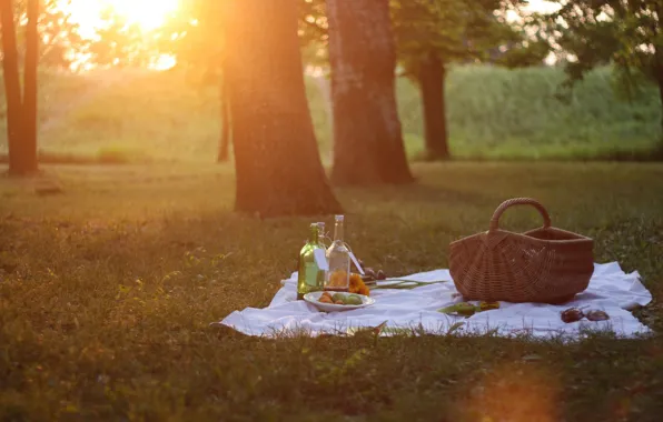 Picture summer, grass, sunshine, flower, trees, nature, park, sun