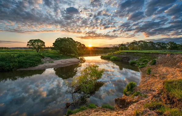 Picture the sky, clouds, trees, reflection, river, dawn