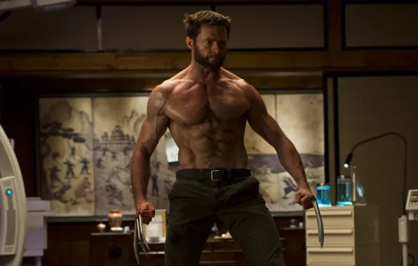 Wolverine, Wolverine, Hugh Jackman, Logan, Hugh Jackman, The Wolverine, Immortal