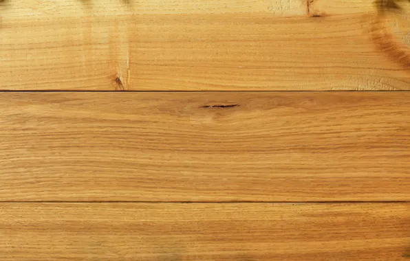 Tree, Board, structure