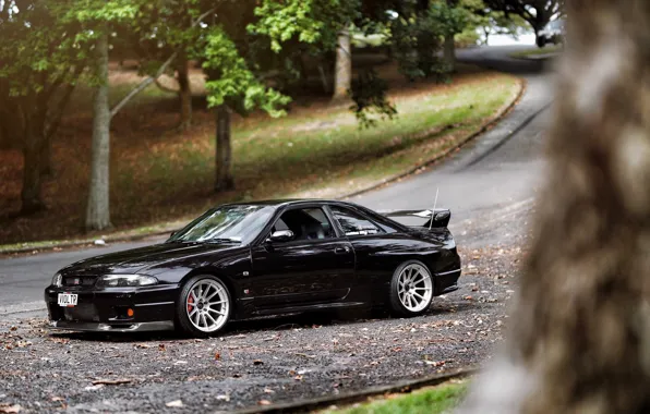 GTR, Nissan, Sky, Black, Skyline, Road, R33, Skyline R33