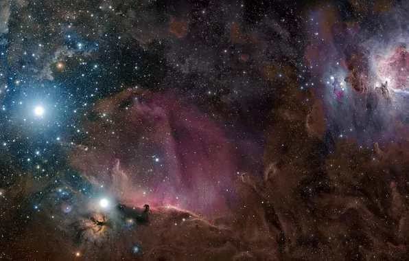 Stars, nebula, dust, gas, constellation, Orion, M42