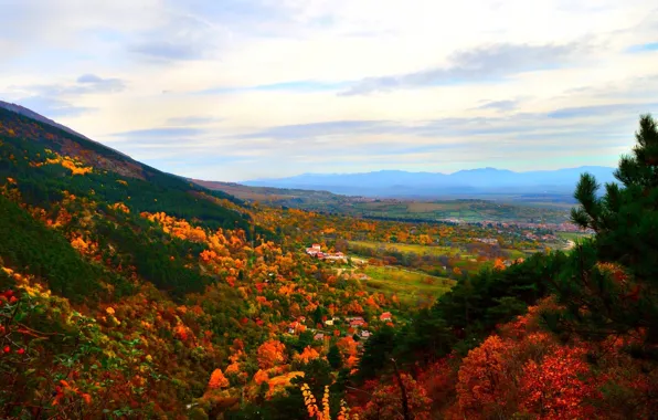 Picture autumn, forest, the sky, trees, mountains, Nature, colors, forest