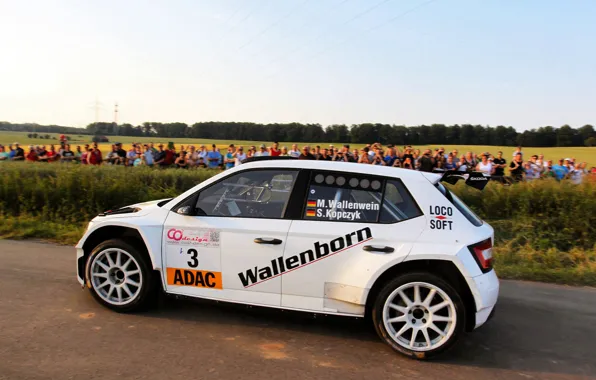 Picture Profile, Rally, Rally, Skoda, Fabia, Skoda