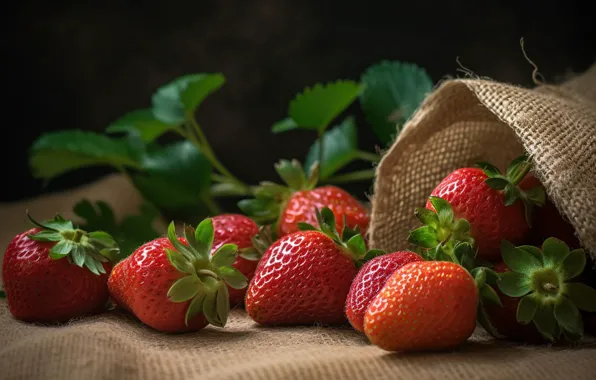 Berries, strawberry, digital art, AI art, neural network, the art of artificial intelligence