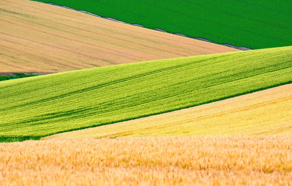 Road, Hokkaido, Road, Hokkaido, Biei, Biei, Wheat Field, Wheat fields