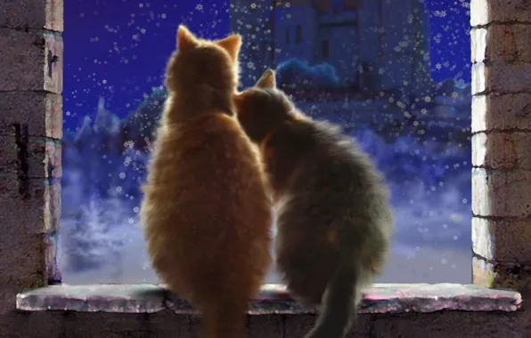 Winter, snow, love, cats, snowflakes, night, castle, window
