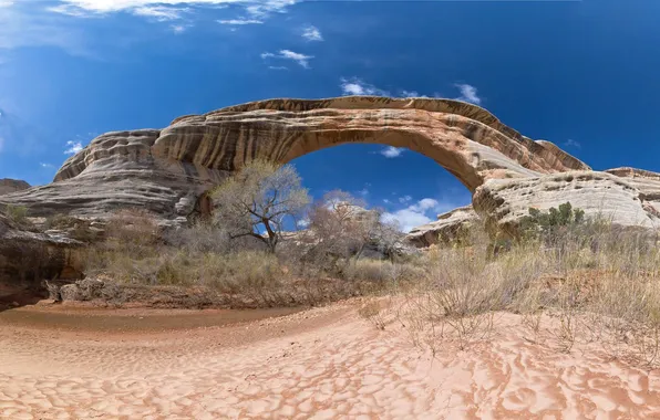 Picture the sky, rocks, arch, USA, the bushes, Arches National Park, uta