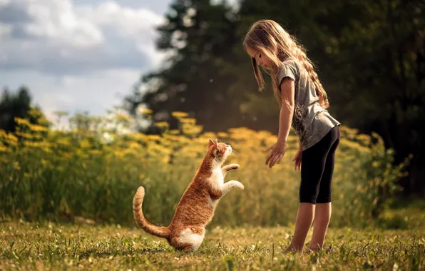 Cat, cat, friendship, girl, friends