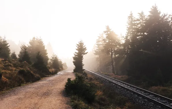 Road, nature, fog, railroad