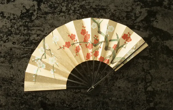 Picture BACKGROUND, CHINESE, FAN, TEXTURE