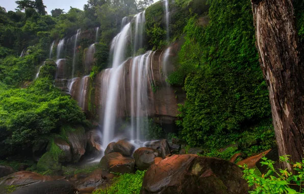 Forest, landscape, river, rocks, waterfall, summer, forest, tropical