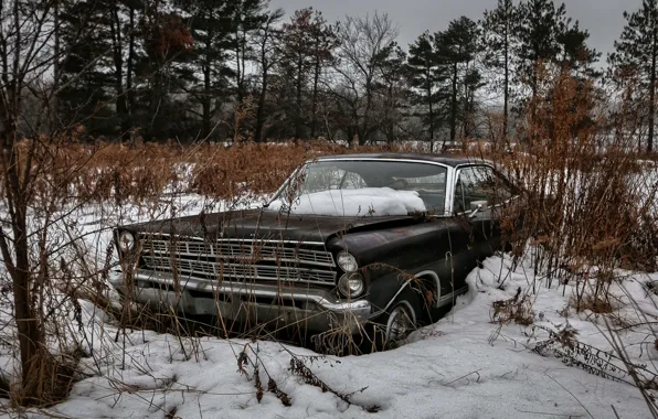 Picture field, machine, snow, scrap
