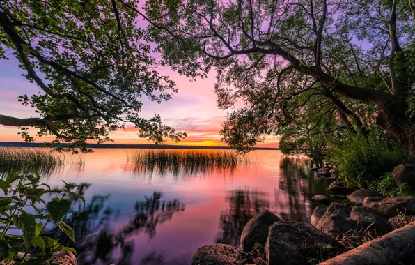 Picture lake, sunset, landscape, nature
