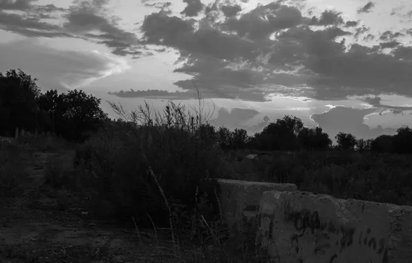 Field, the sky, grass, clouds, trees, black and white, plate, Russia