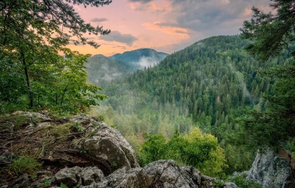 Picture landscape, nature, beauty