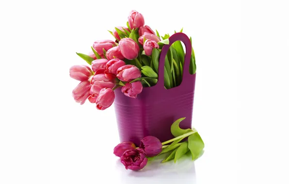 Flowers, bouquet, tulips, fresh, flowers, tulips, purple, bouquet