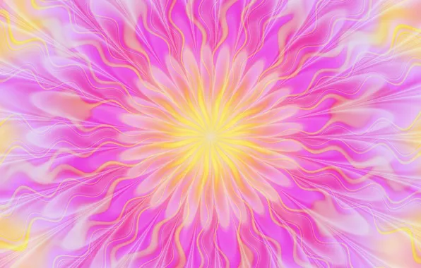 Picture flowers, pattern, symmetry