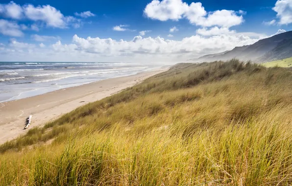 Sea, the sky, grass, clouds, mountains, slope