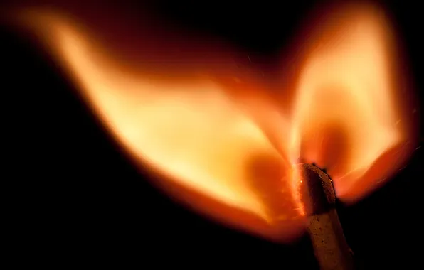 Picture macro, fire, flame, match