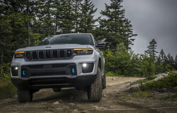 Trees, power, road, trees, power, exterior, Jeep, Grand Cherokee