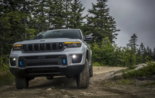 Picture trees, power, road, trees, power, exterior, Jeep, Grand Cherokee