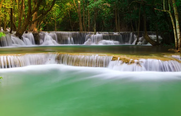 Forest, landscape, river, rocks, waterfall, summer, forest, tropical