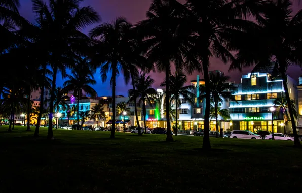 Night, palm trees, home, Miami, FL, Miami, cars, florida