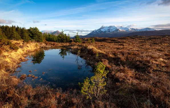 Field, autumn, forest, the sky, grass, water, clouds, mountains